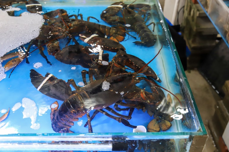 싱싱농수산물 이미지