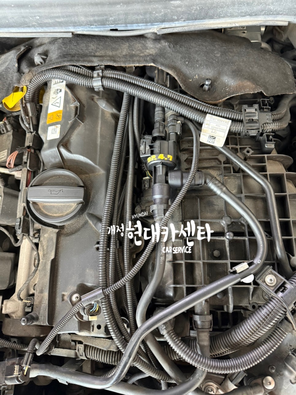 엔젤카센타 이미지