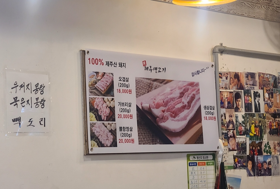 진뚝도리 이미지
