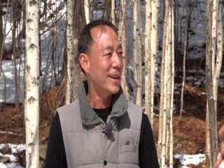 대우악기사 이미지