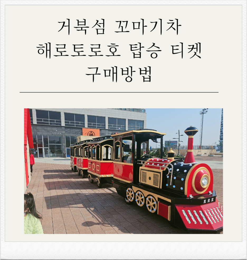 거북섬 해로토로호 이미지