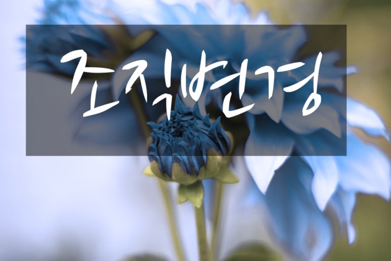 농업회사법인 주식회사 청산 이미지