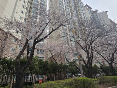 키즈힐어린이집 이미지