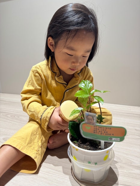 지산어린이집 이미지