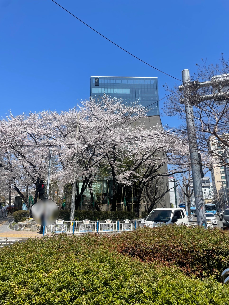 (주)한성모터스 이미지