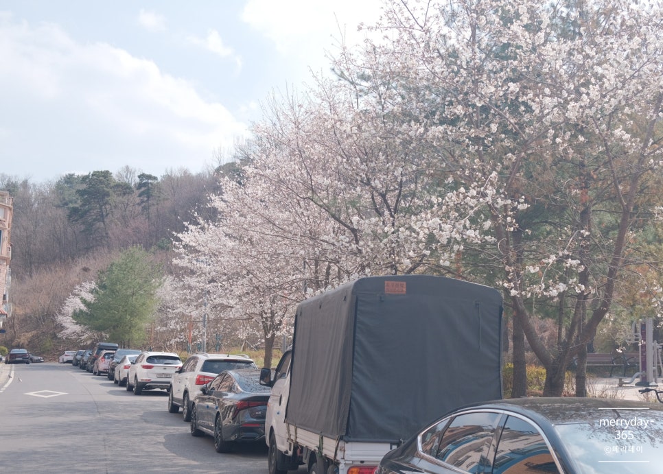도트바이림 이미지
