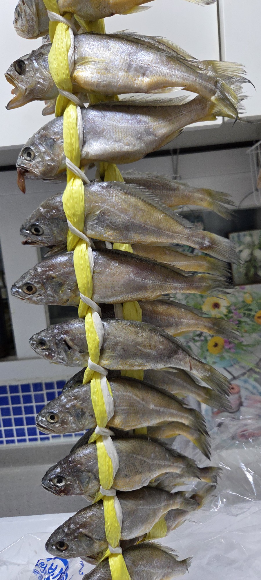영광냉동수산 이미지