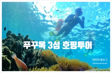 마이가이드 이미지