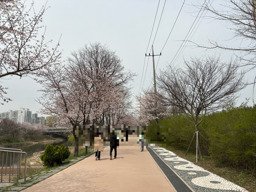 시립고색뉴지엄어린이집 이미지