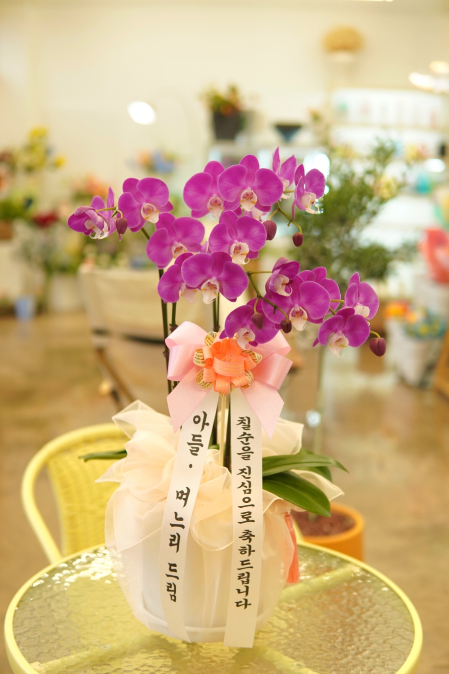 플렌케 이미지