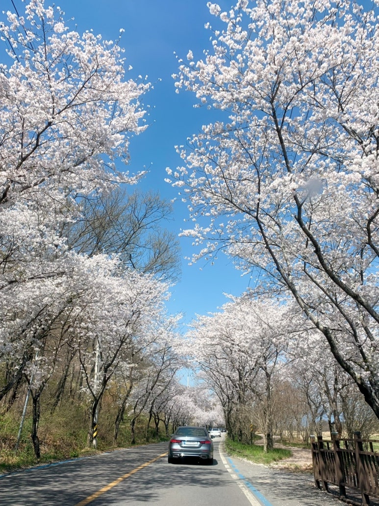 여행마루 2호점 이미지