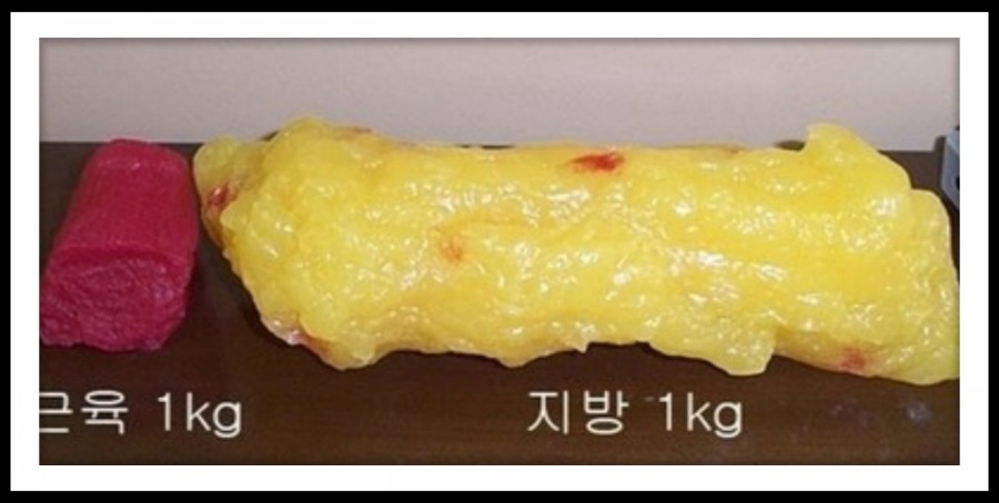 나비다방 이미지