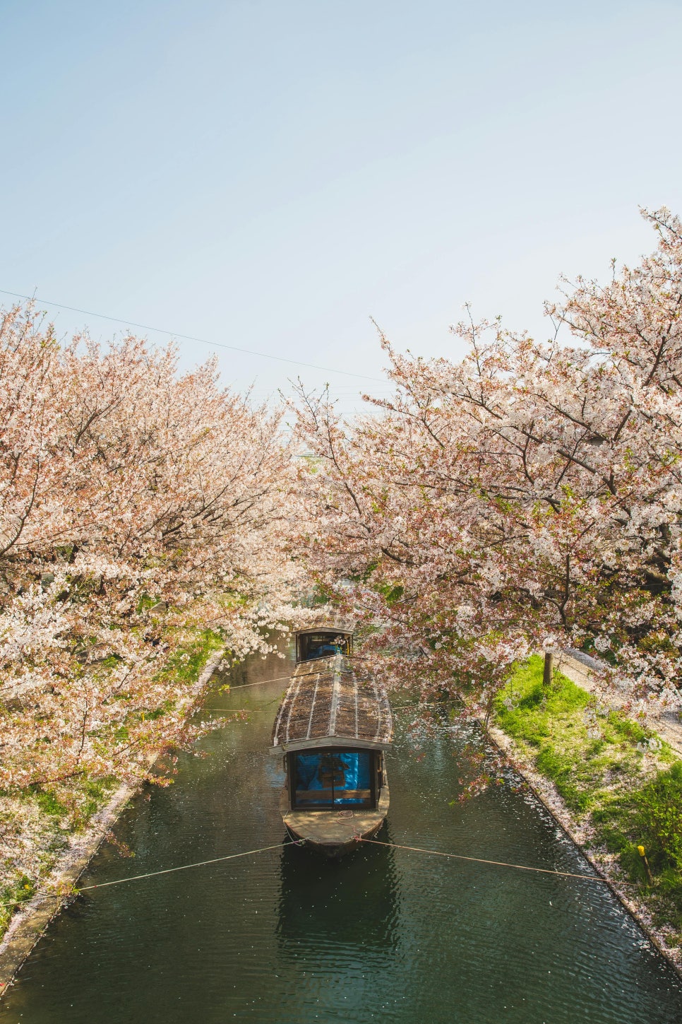 조우상사 이미지