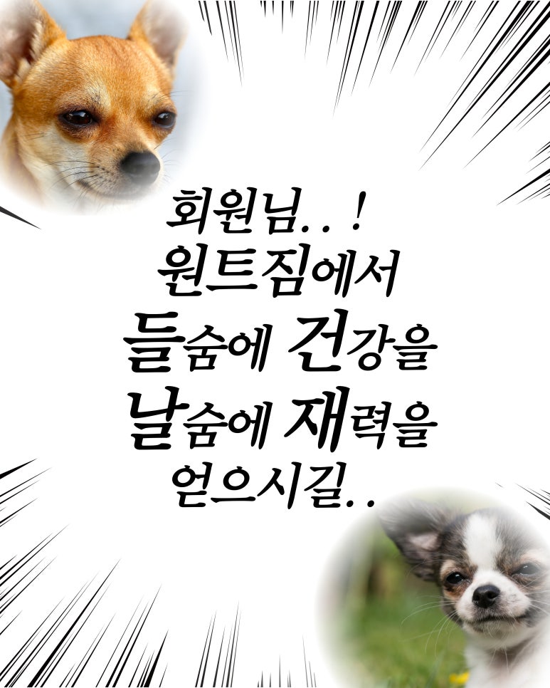원트짐 이미지