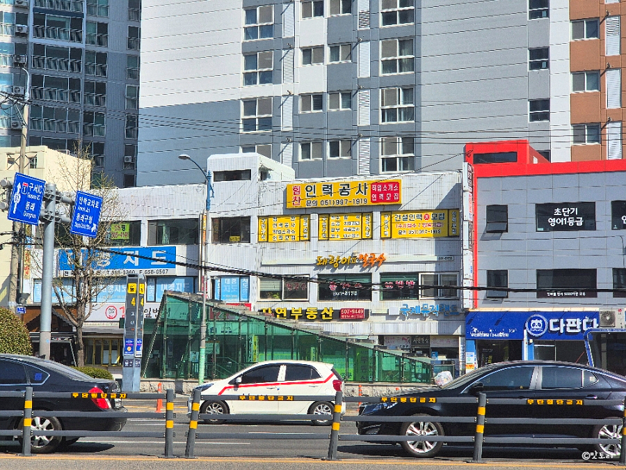 돼랑이투칼국수 이미지