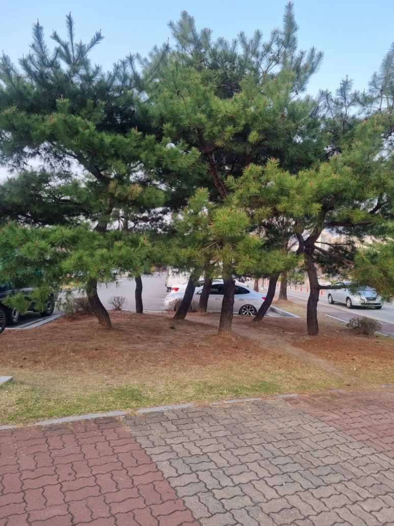 파트너노래연습장 이미지