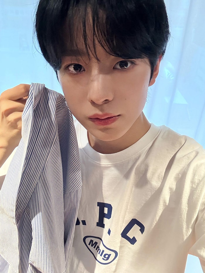 팝팝 이미지