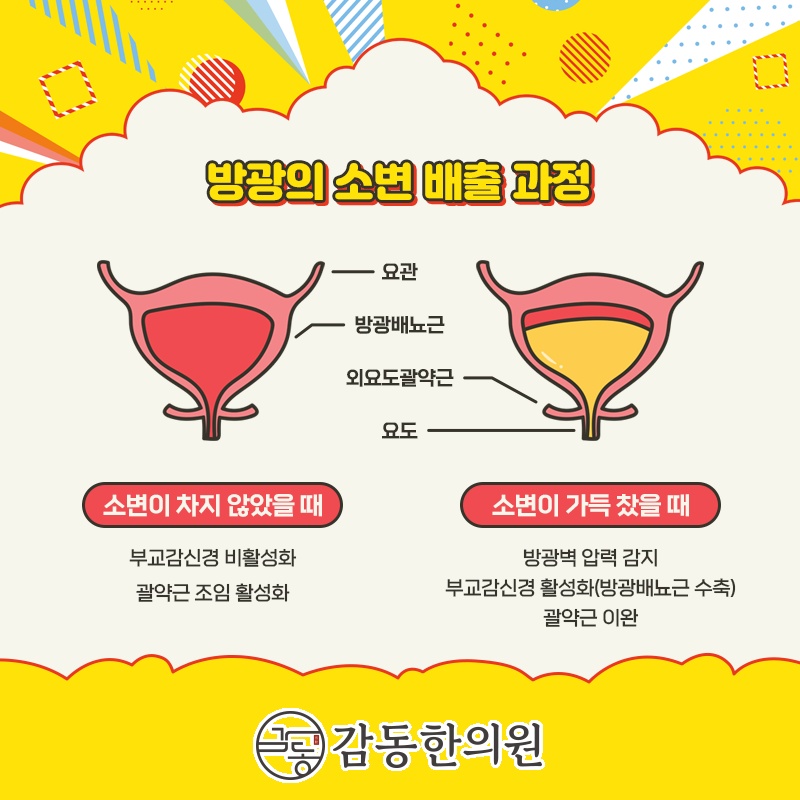 감동한의원 이미지