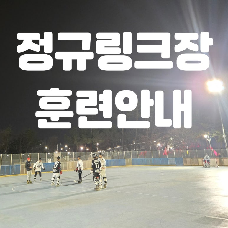 플레임스인라인하키클럽 이미지