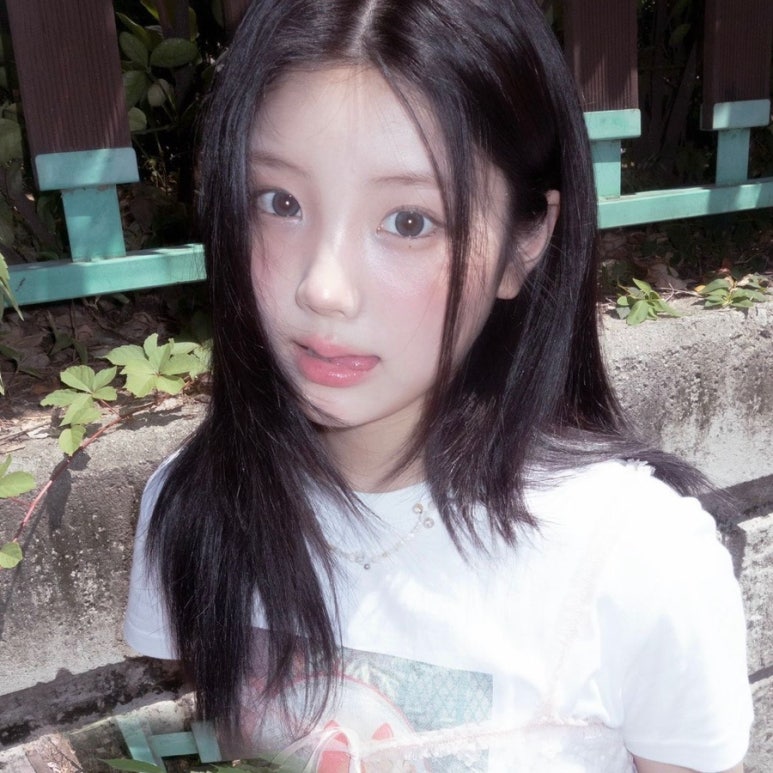 미학들 이미지