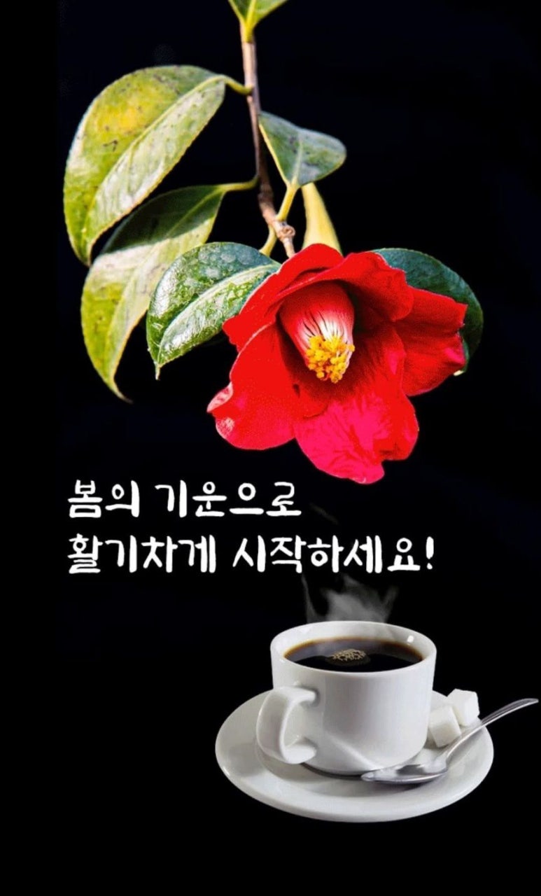 좋은날 이미지