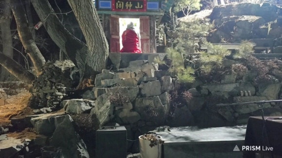 대화사 이미지