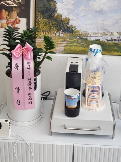 슈가링바이지 이미지