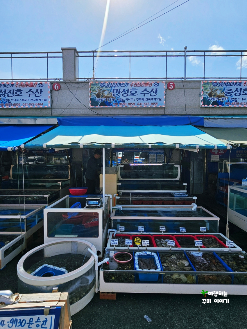 만성호 이미지