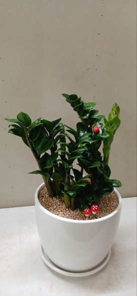 대한화원 이미지