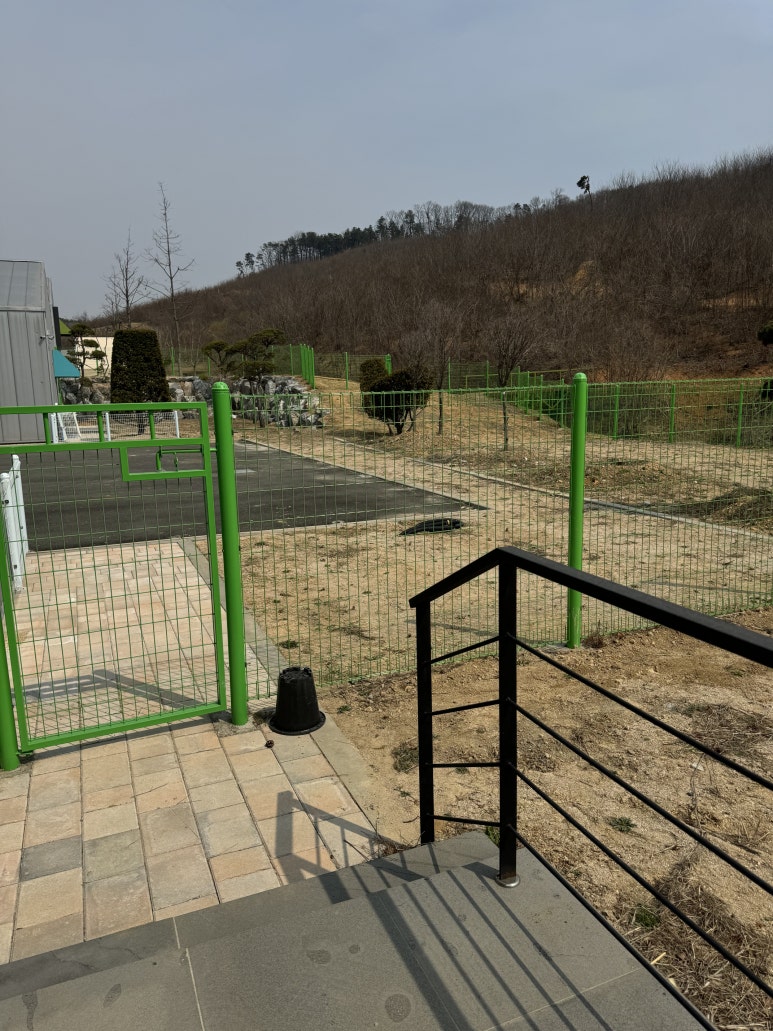 포레스트테일 이미지