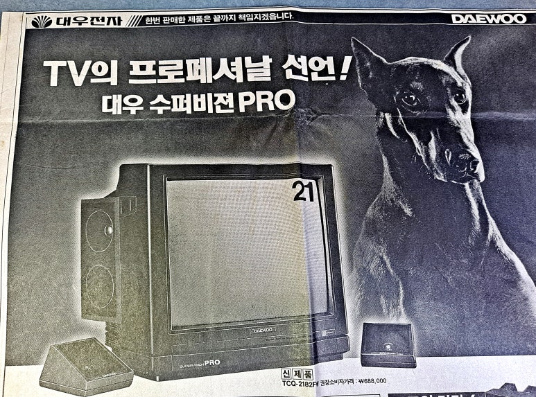 광고프로 이미지
