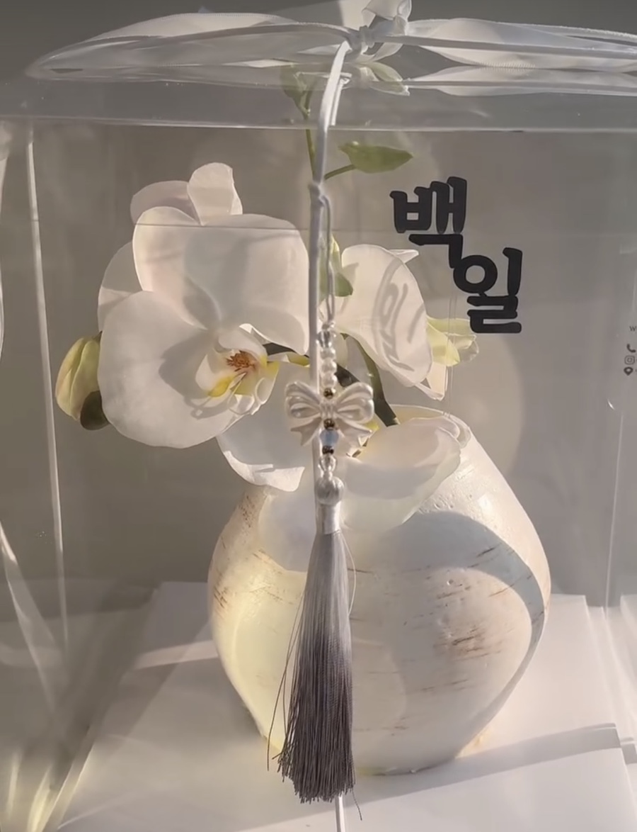 우잉케이크 이미지