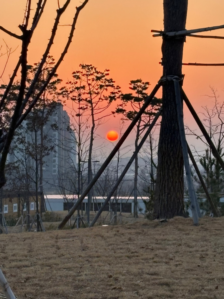 리리육회 이미지