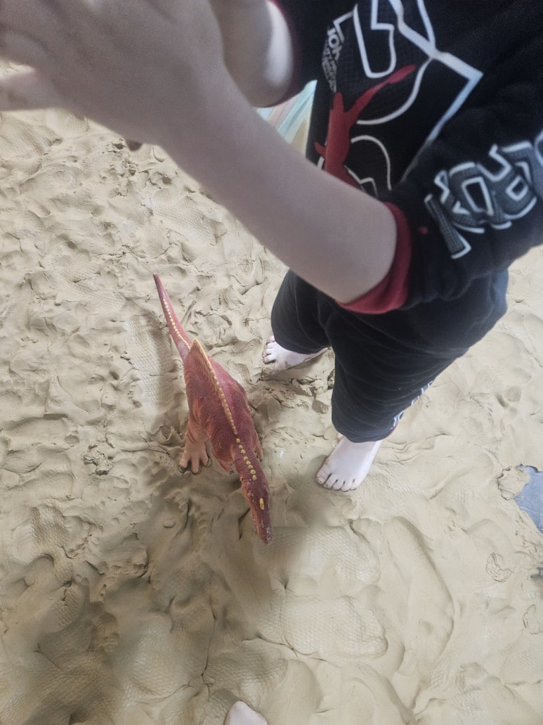 하버드어린이집 이미지
