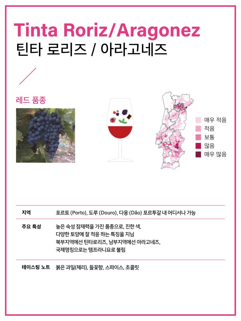 아라고 이미지