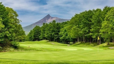 (주)동인여행사 이미지