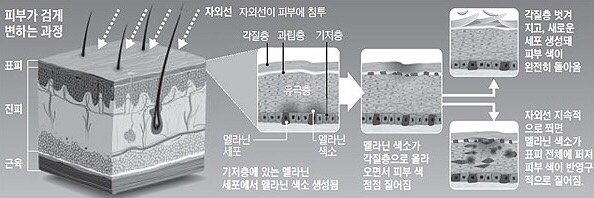 올인원홈케어 이미지