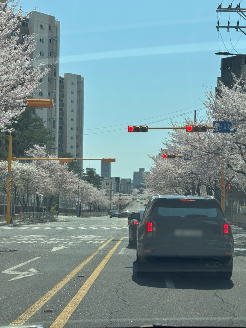(#)샐피약사점 이미지
