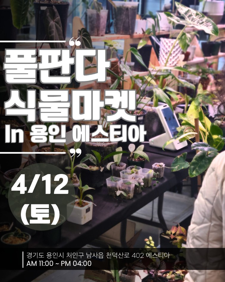풀마켓 이미지