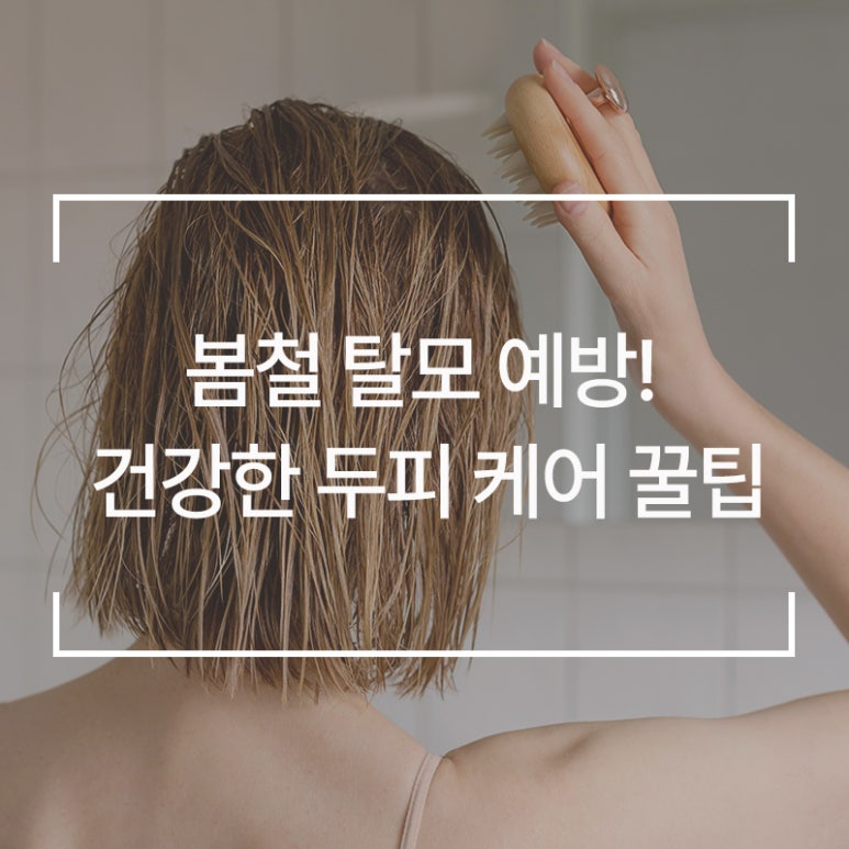 웰킨 이미지