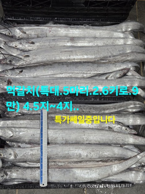 임여사수산 이미지