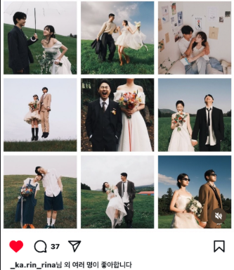 입어보개 이미지