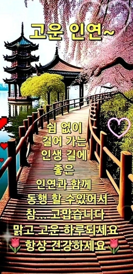 수지상사 이미지