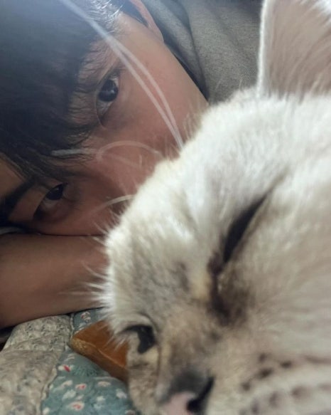 륀 이미지