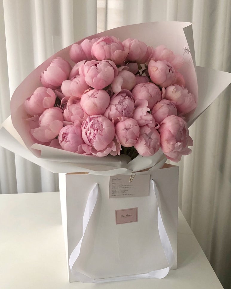 올로르플라워OlorFlower 이미지