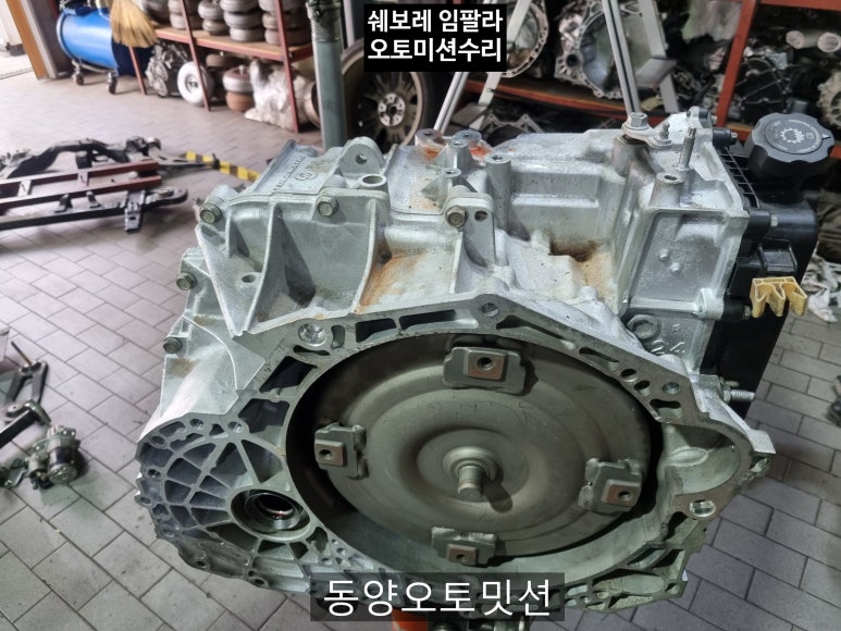 동양오토밋션 이미지