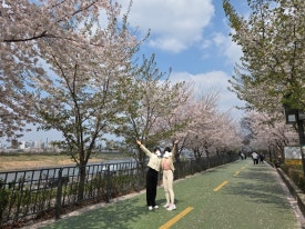 그린푸드 사진 8
