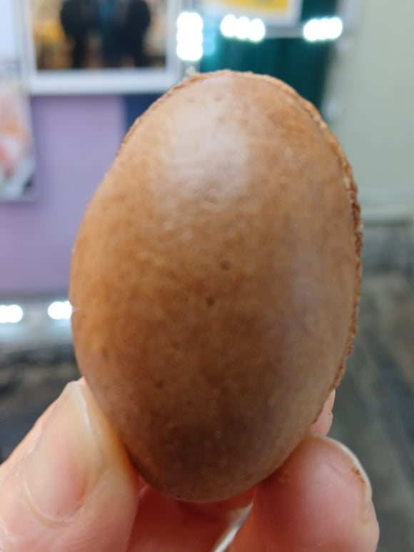 보리당 이미지