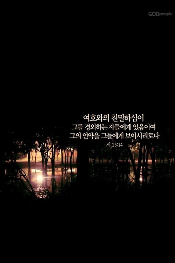 아마르 이미지