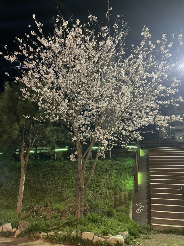 파리바게뜨원주태장점 이미지
